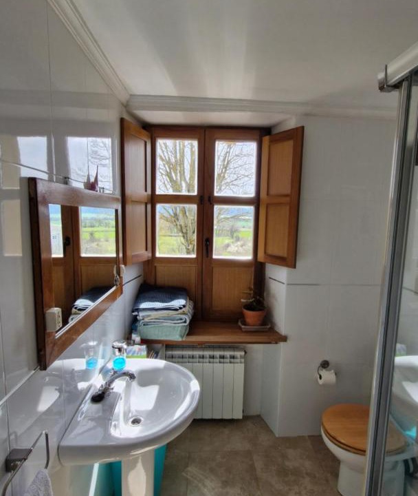 Photo of Bathroom in Lezana de Mena
