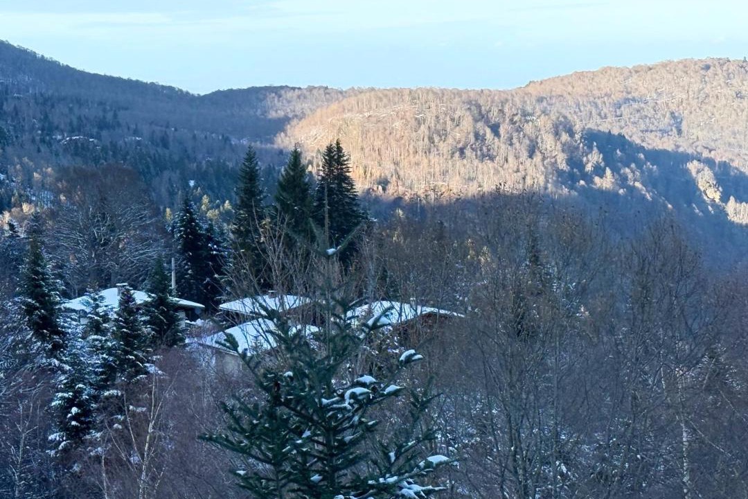 Photo of Others in Montferrier