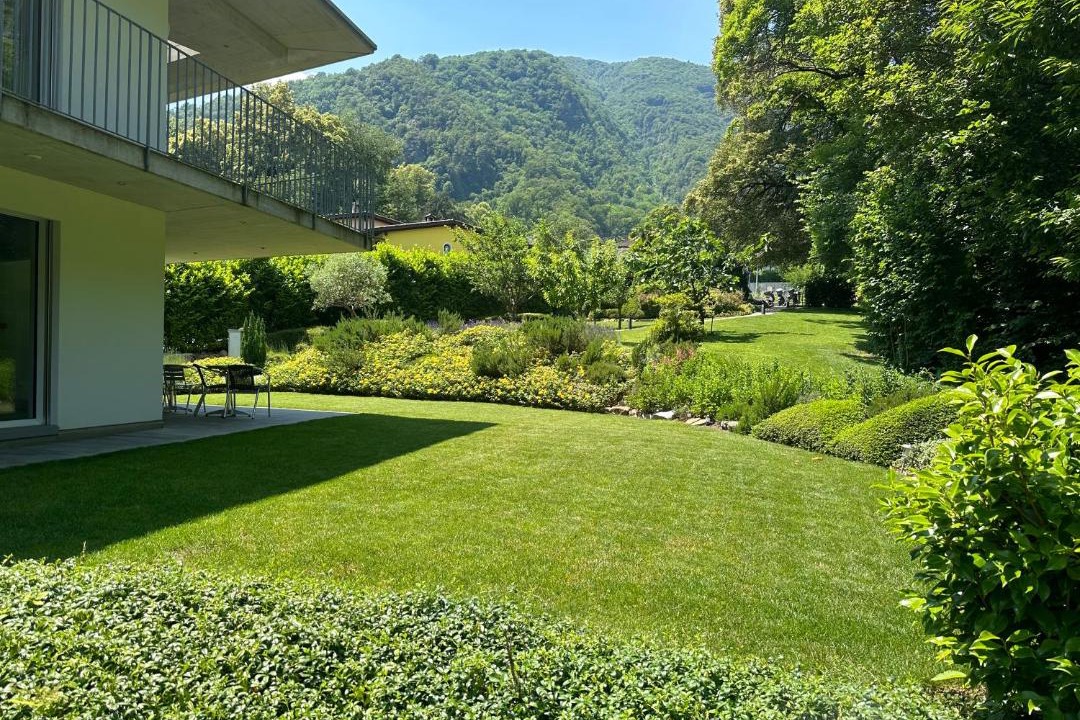 Photo of Others in Losone