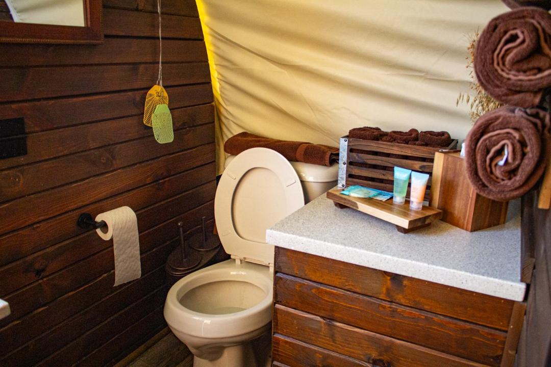 Photo of Bathroom in Satin