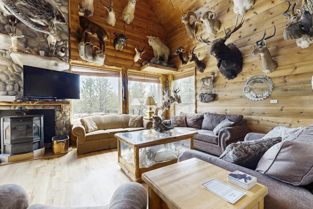 Photo of Livingroom in New Meadows