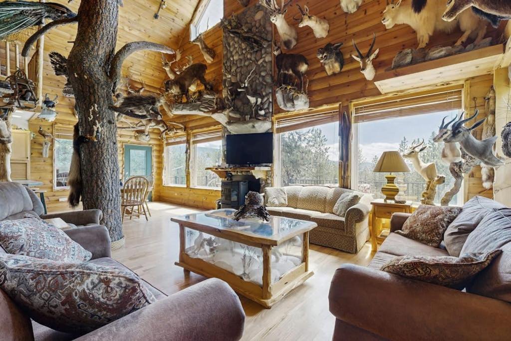 Photo of Livingroom in New Meadows