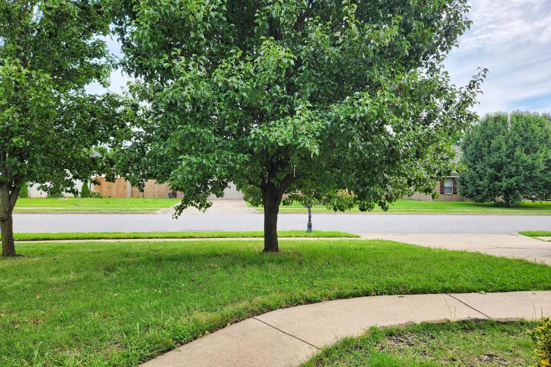 Photo of Others in Bethel Heights