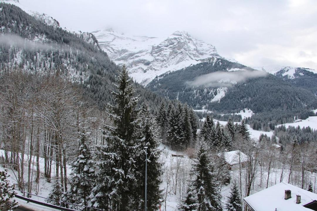Photo of Others in Ormont-Dessus