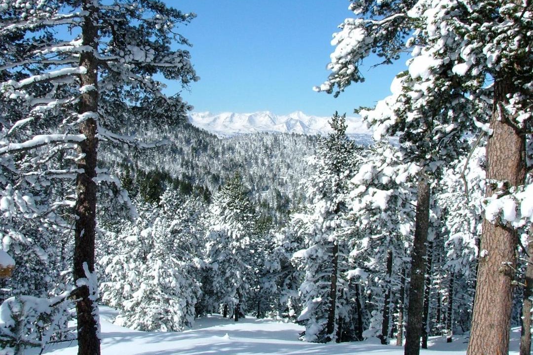 Photo of Others in La Cabanasse