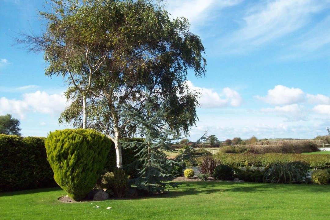 Photo of Others in Wick St. Lawrence