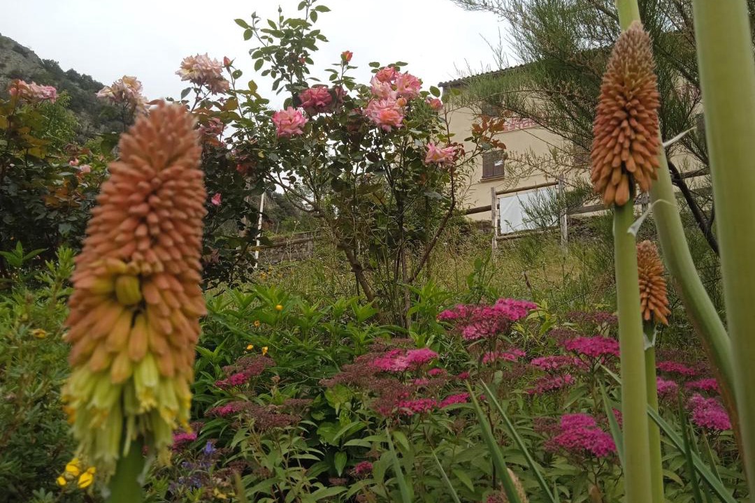 Photo of Outdoor in Casteil