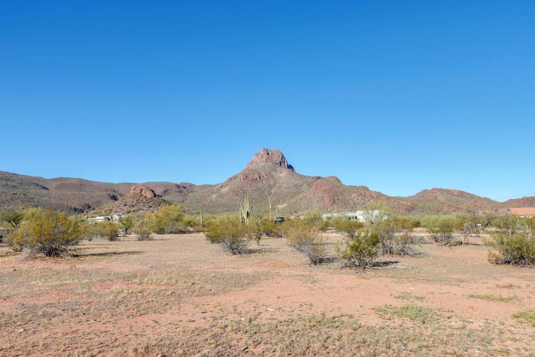 Photo of Others in Continental Reserve