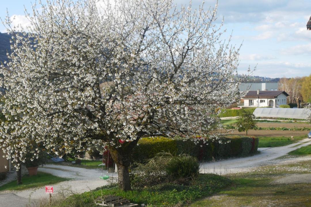 Photo of Others in Aix-les-Bains
