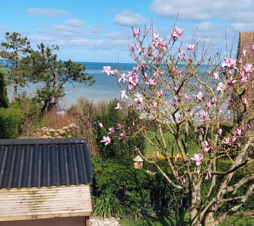 Photo of Others in Varengeville-sur-Mer