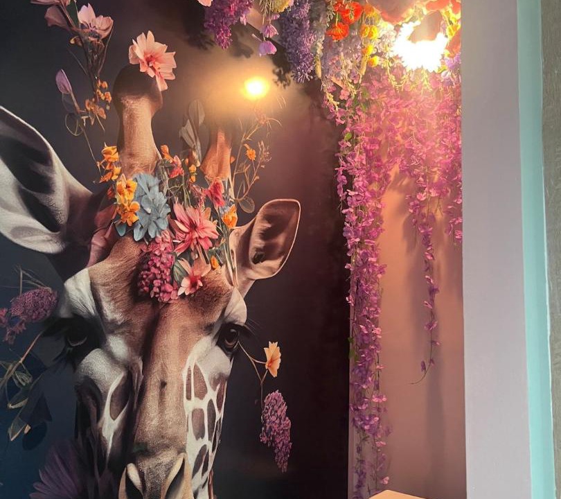 Photo of Bathroom in Blendecques