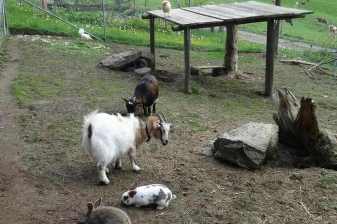 Photo of Others in Kienersruti