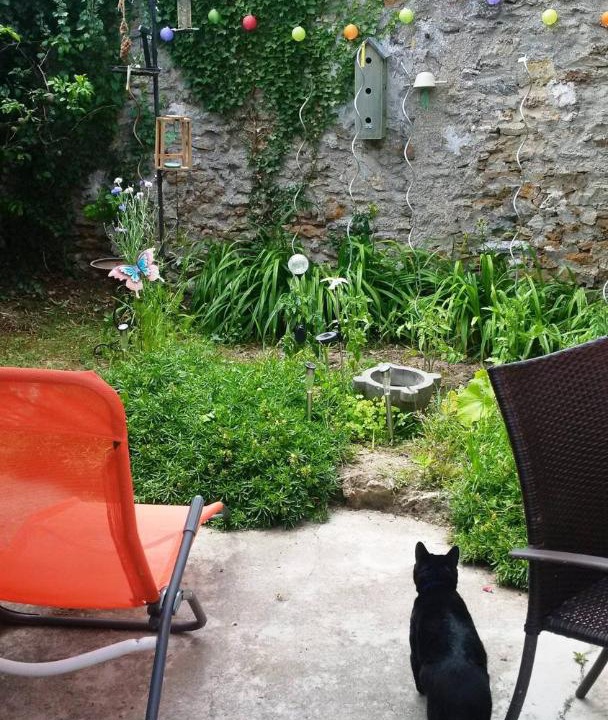 Photo of Others in Saint-Michel-sur-Orge