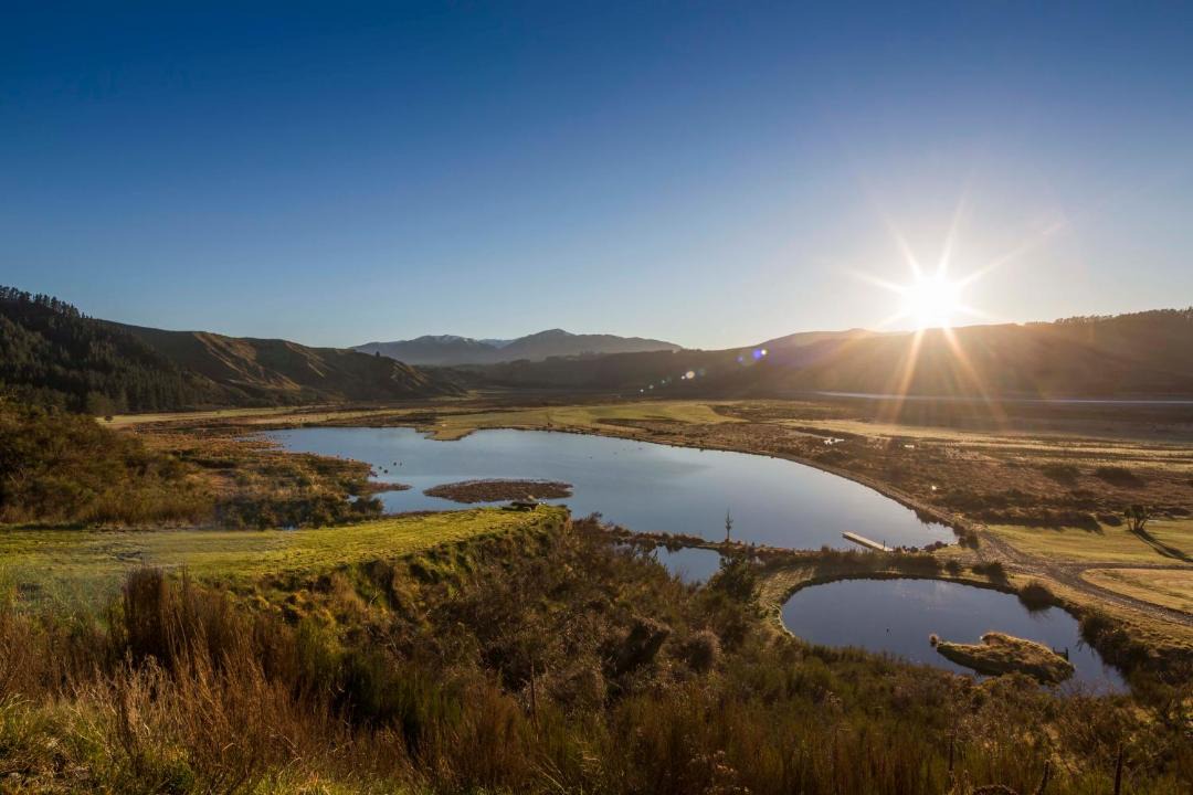 Photo of Others in Methven