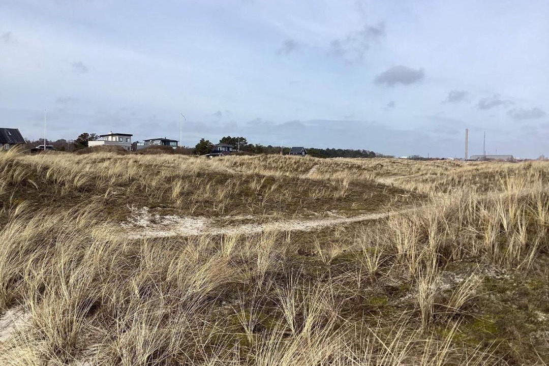 Photo of Others in Grena Strand