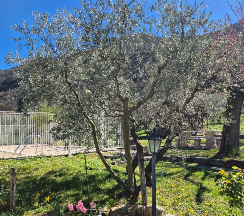 Photo of Outdoor in Entrevaux