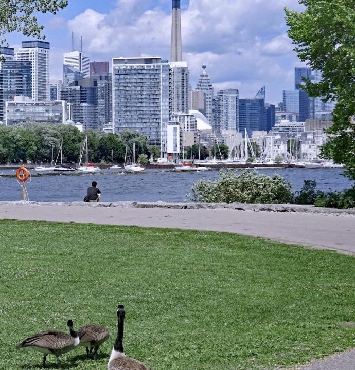 Photo of Others in Fort York