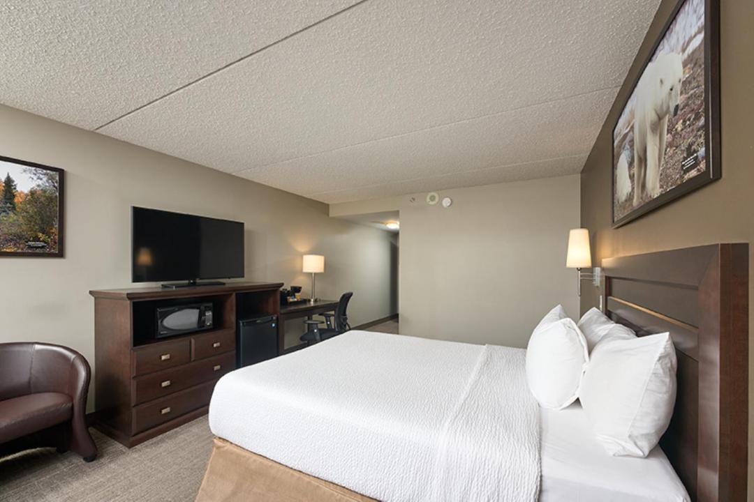 Photo of Bedroom in Regent