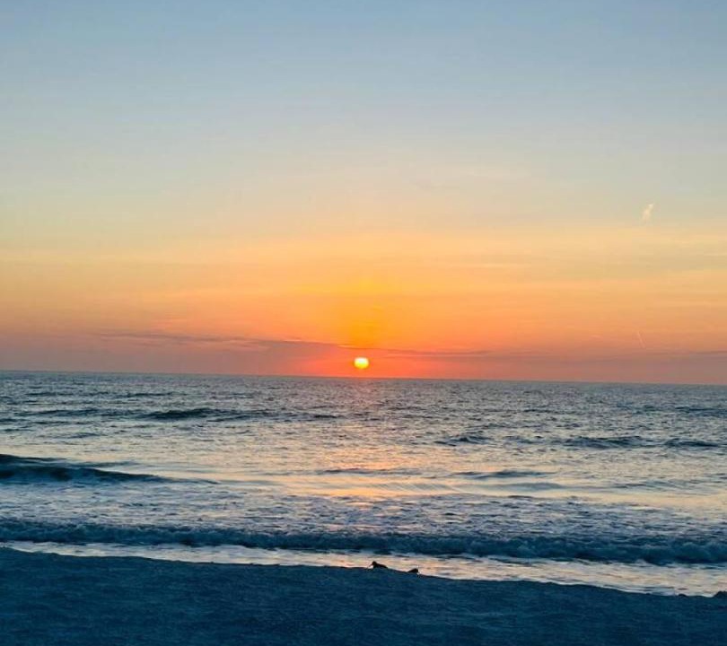 Photo of Others in Indian Rocks Beach