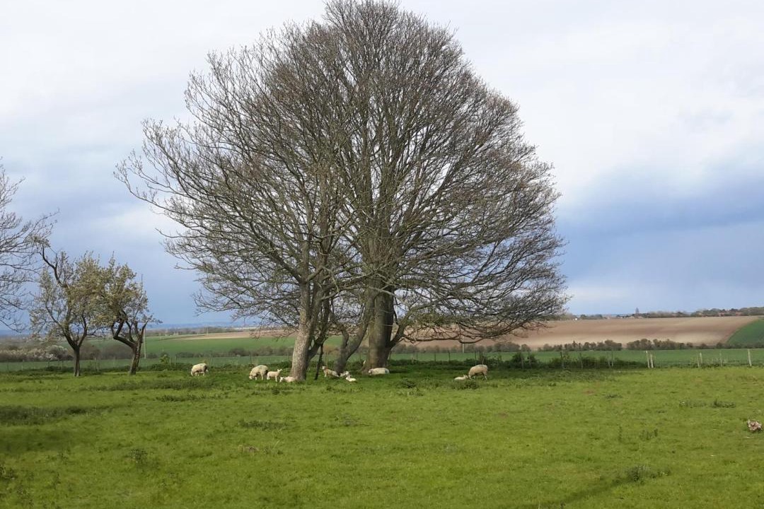 Photo of Others in Deal