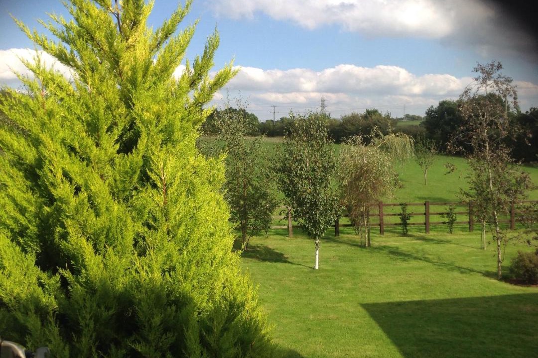 Photo of Others in Clyst St Mary