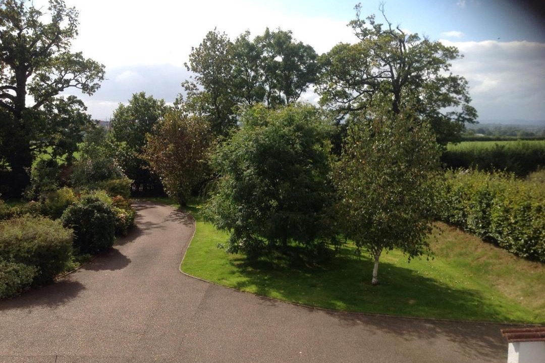 Photo of Others in Clyst St Mary