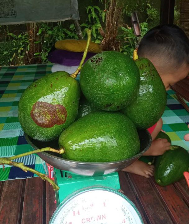 Photo of Others in Sei Pinang