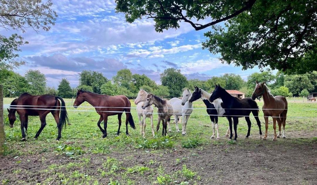 Photo of Others in Mignaloux-Beauvoir