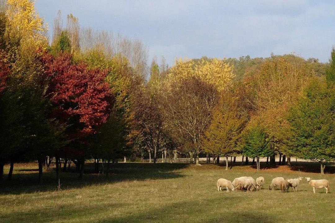 Photo of Others in Montaigu-de-Quercy