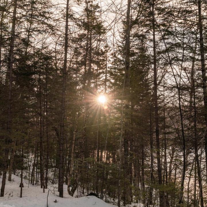 Photo of Others in Mauricie