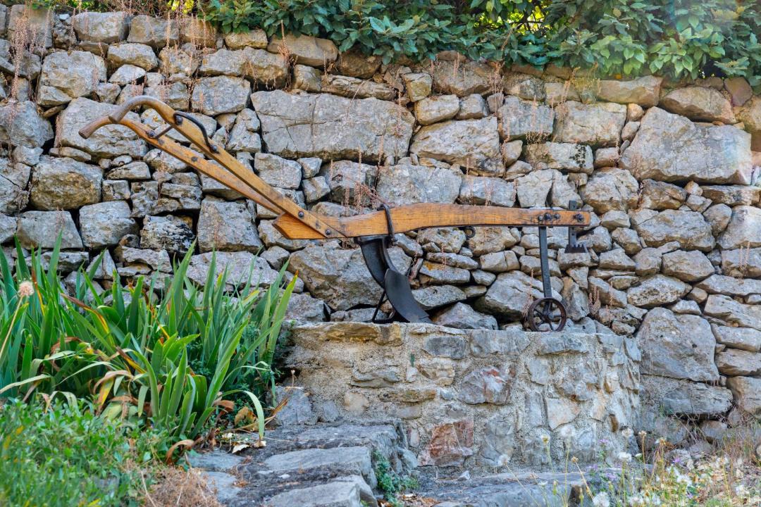 Photo of Others in Causse-de-la-Selle