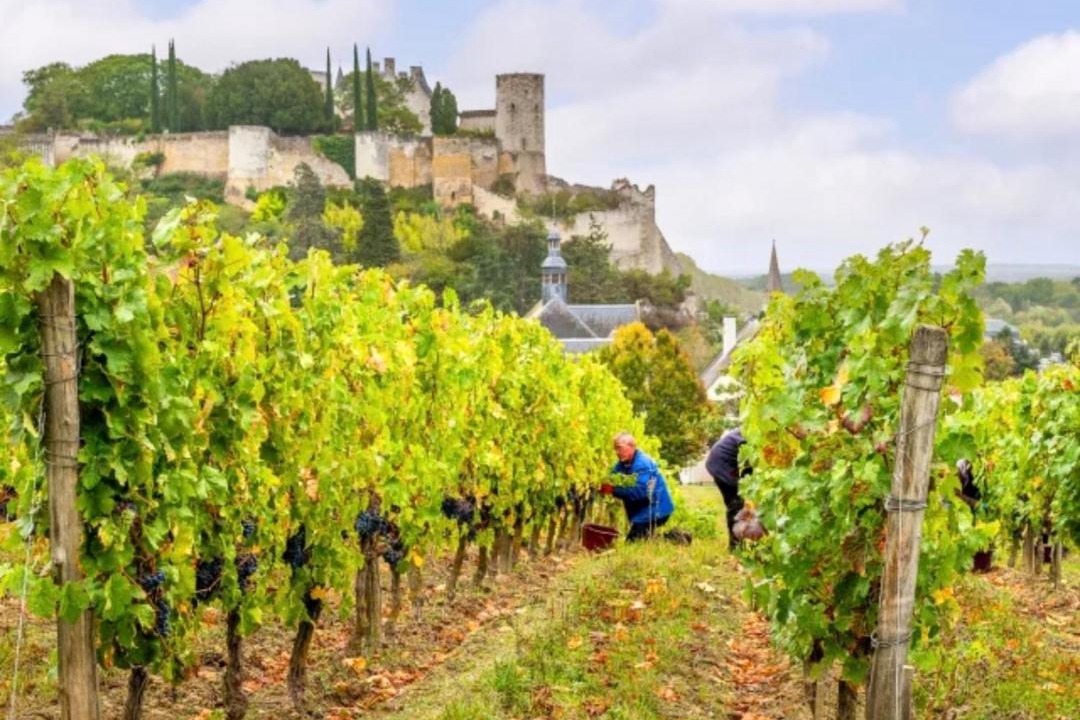 Photo of Others in Chinon