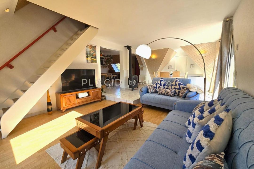 Photo of Livingroom in Souligne-Flace
