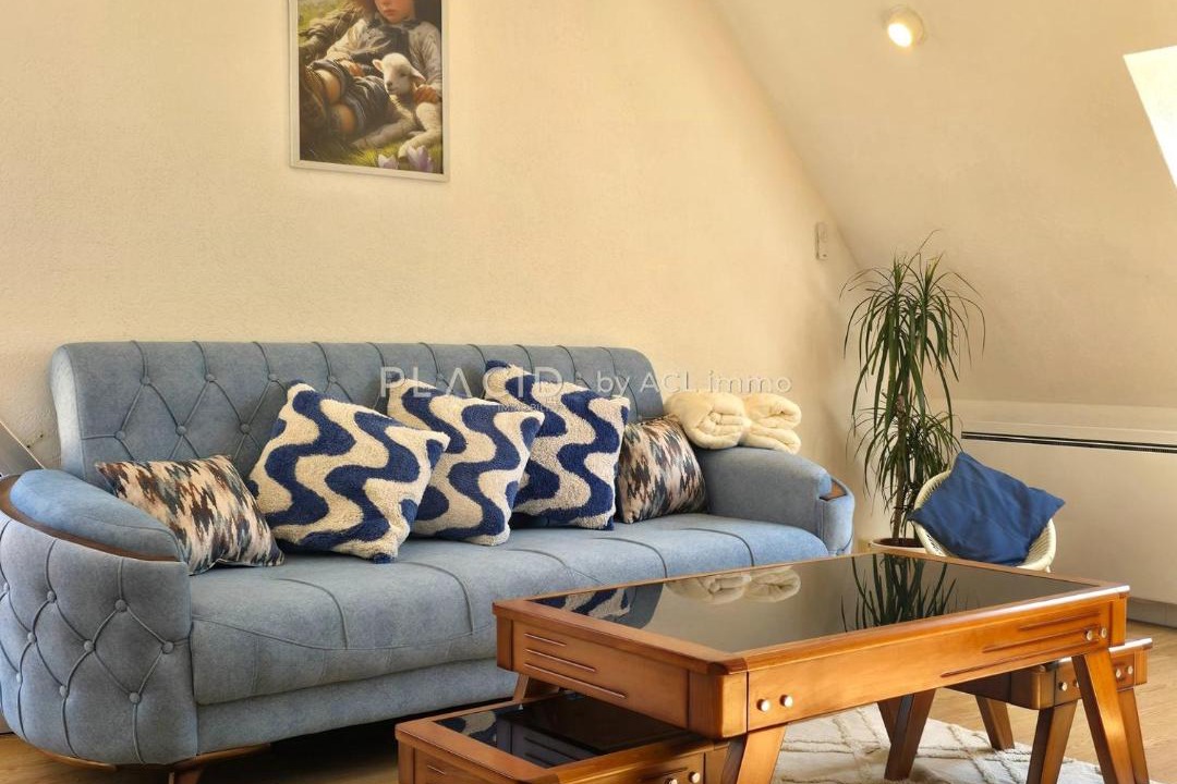 Photo of Livingroom in Souligne-Flace