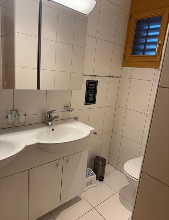 Photo of Others in Sedrun
