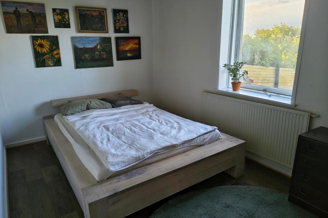 Photo of Others in Aalborg Municipality