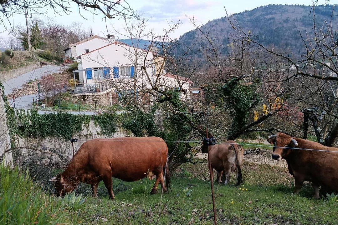 Photo of Others in Lamastre