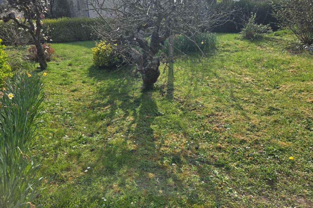 Photo of Outdoor in Chateau-Gontier
