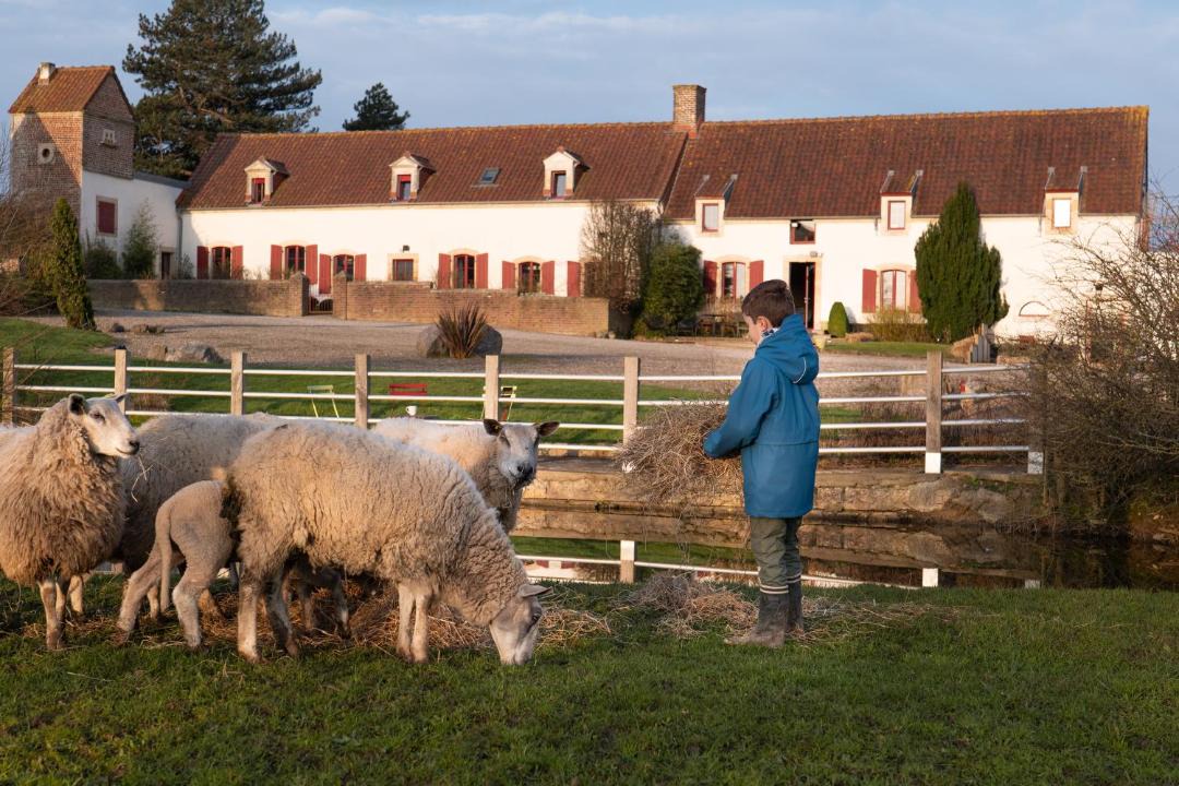 Photo of Others in Wierre-Effroy