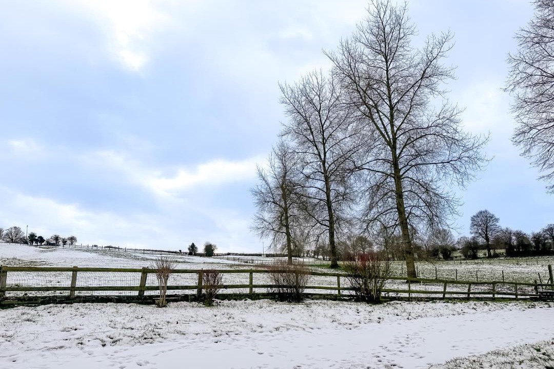 Photo of Others in Thiembronne