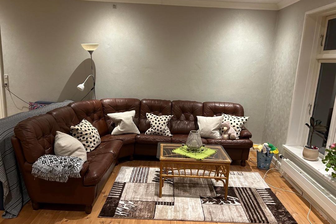 Photo of Livingroom in Odense NV