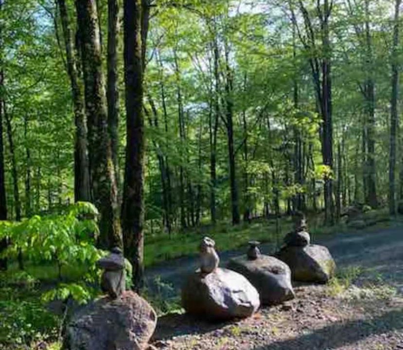 Photo of Others in Oliverea