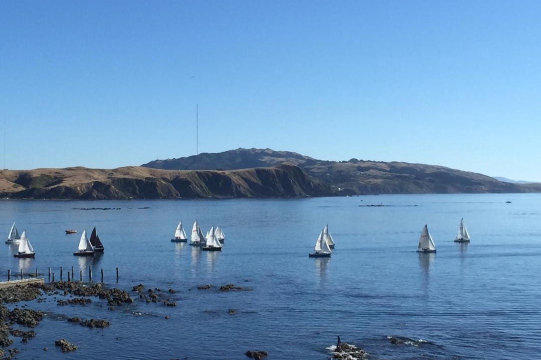 Photo of Others in Plimmerton