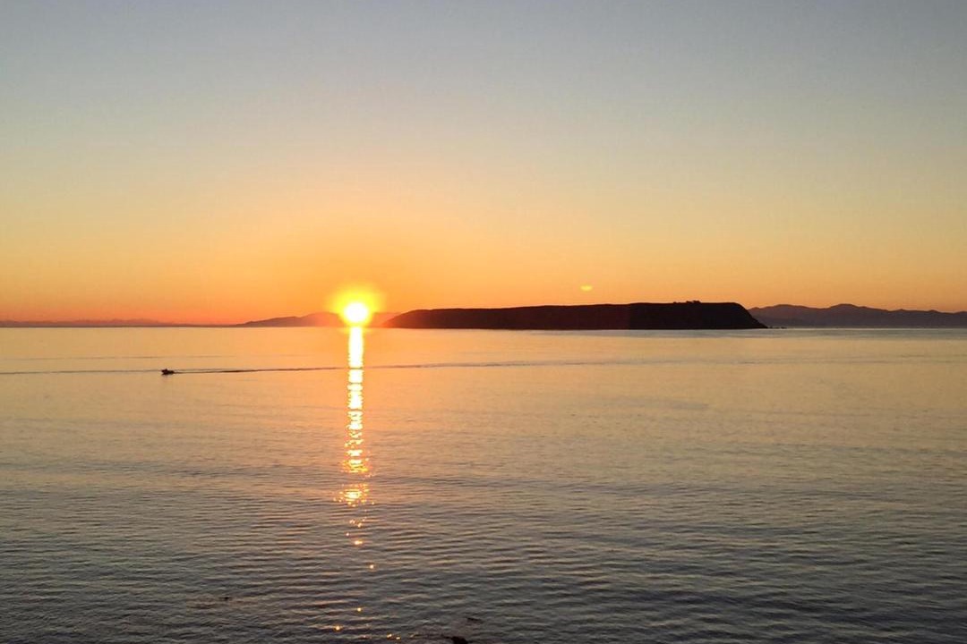 Photo of Others in Plimmerton