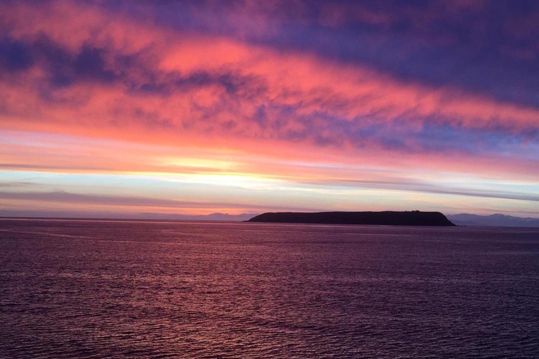 Photo of Others in Plimmerton