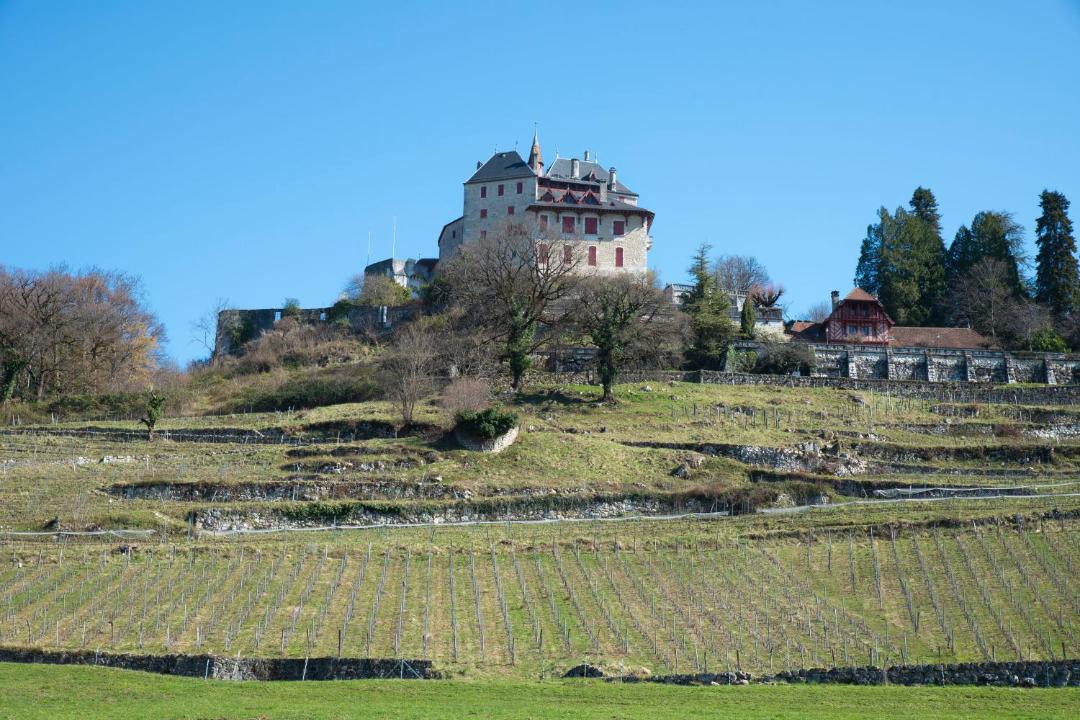 Photo of Others in Menthon-Saint-Bernard