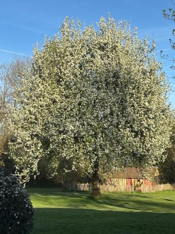Photo of Outdoor in Moyaux