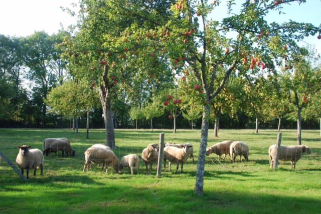 Photo of Others in Moyaux