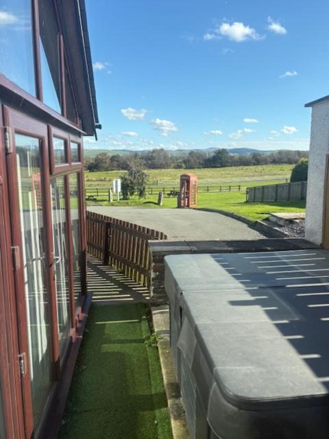 Photo of Others in Aberystwyth