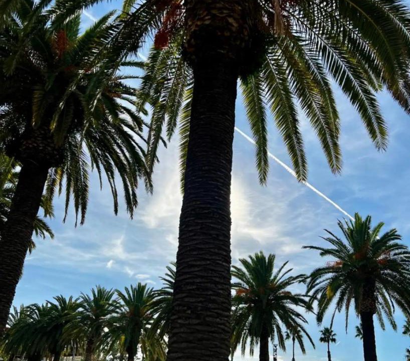 Photo of Others in Salou City Centre